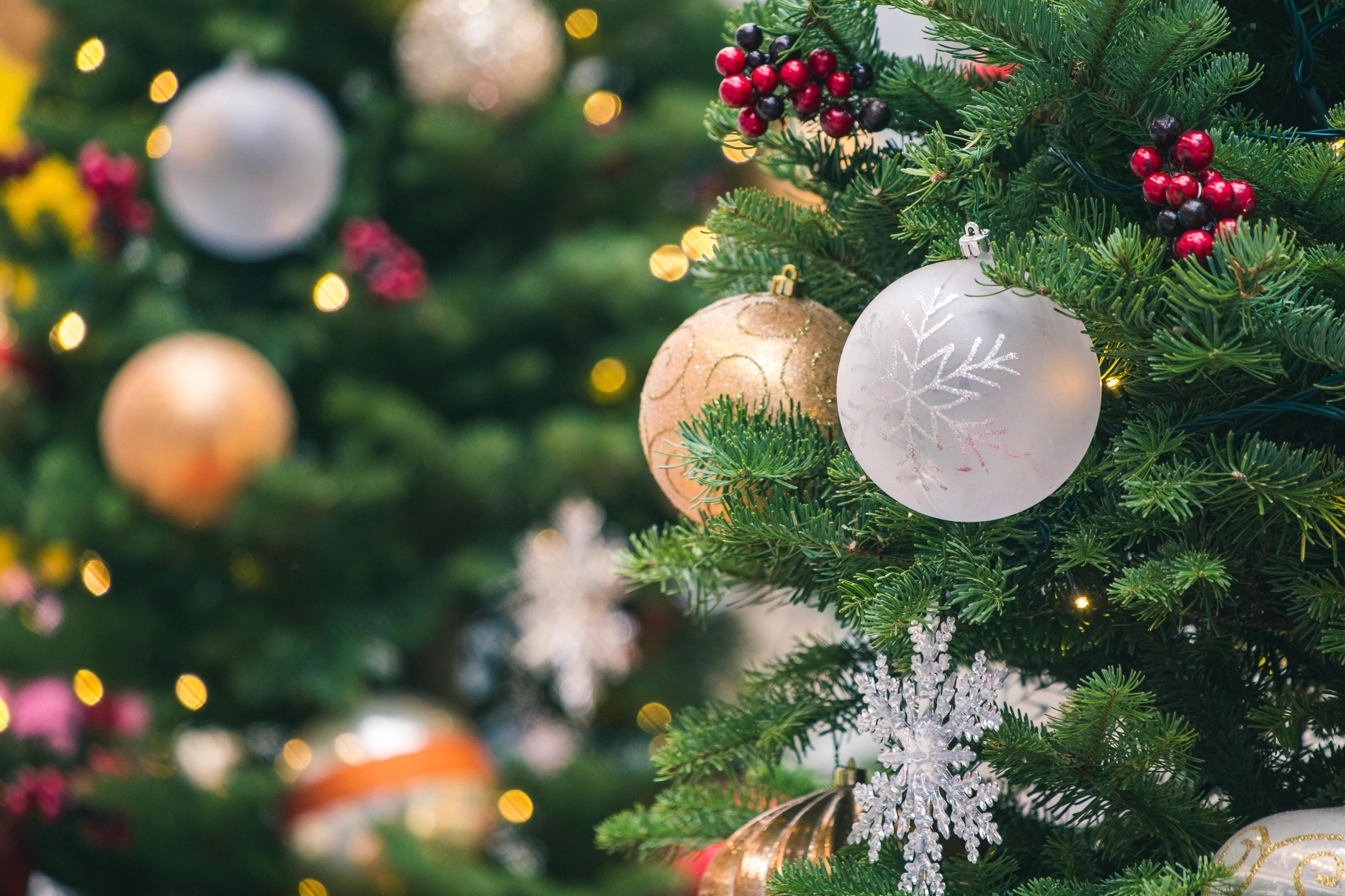 Pourquoi opter pour un calendrier de l'Avent digital pour Noël 2025 ?